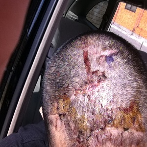 ストーカーに殺される,ストーカー規制法,警察,探偵事務所,守ってくれない,殺されるかもしれない